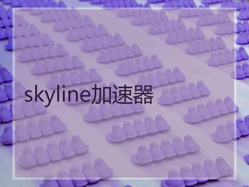 skyline加速器