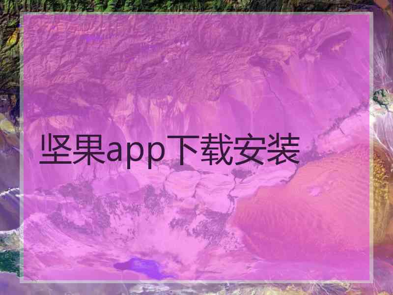 坚果app下载安装