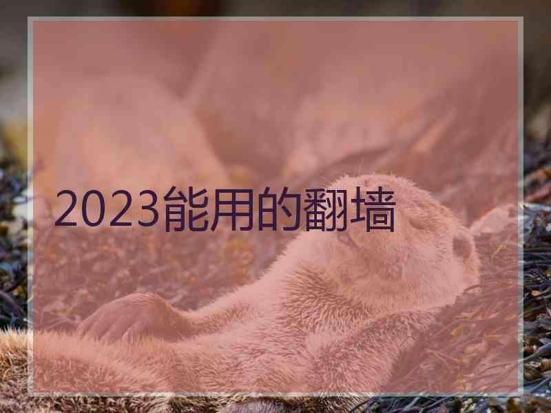 2023能用的翻墙