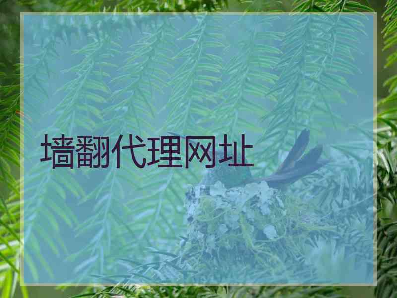 墙翻代理网址