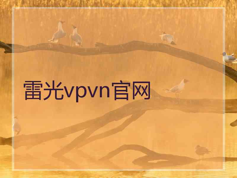 雷光vpvn官网