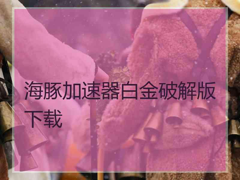 海豚加速器白金破解版下载