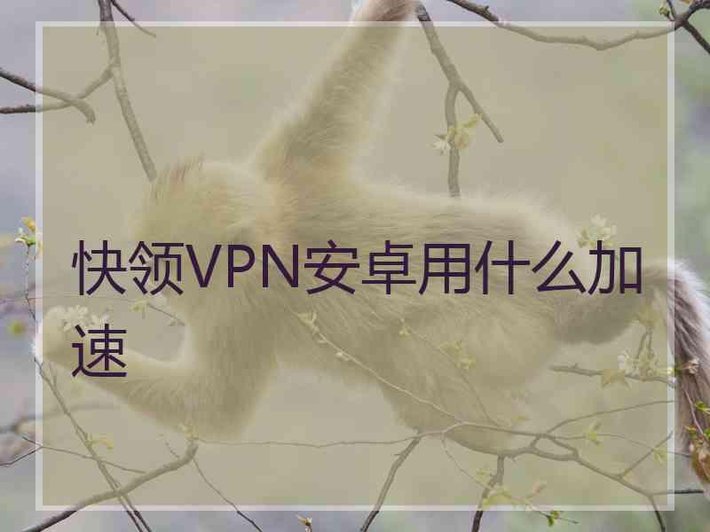 快领VPN安卓用什么加速