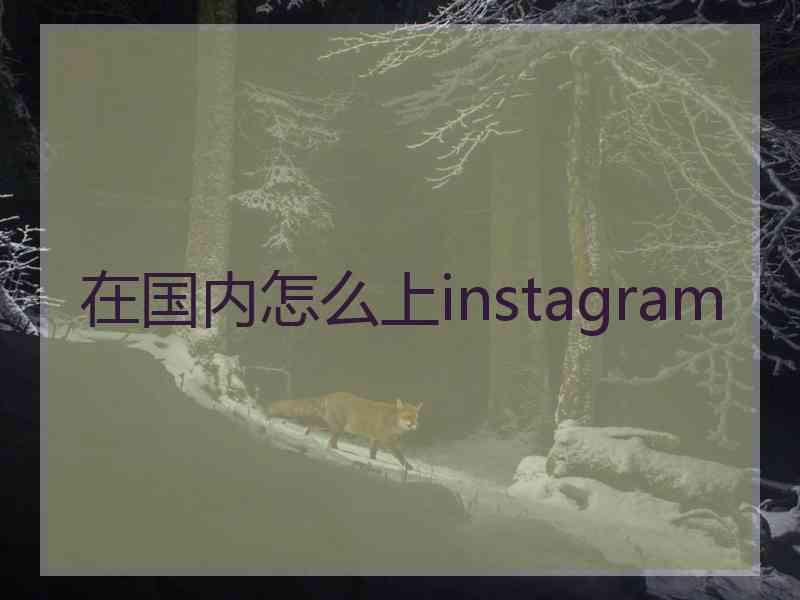 在国内怎么上instagram