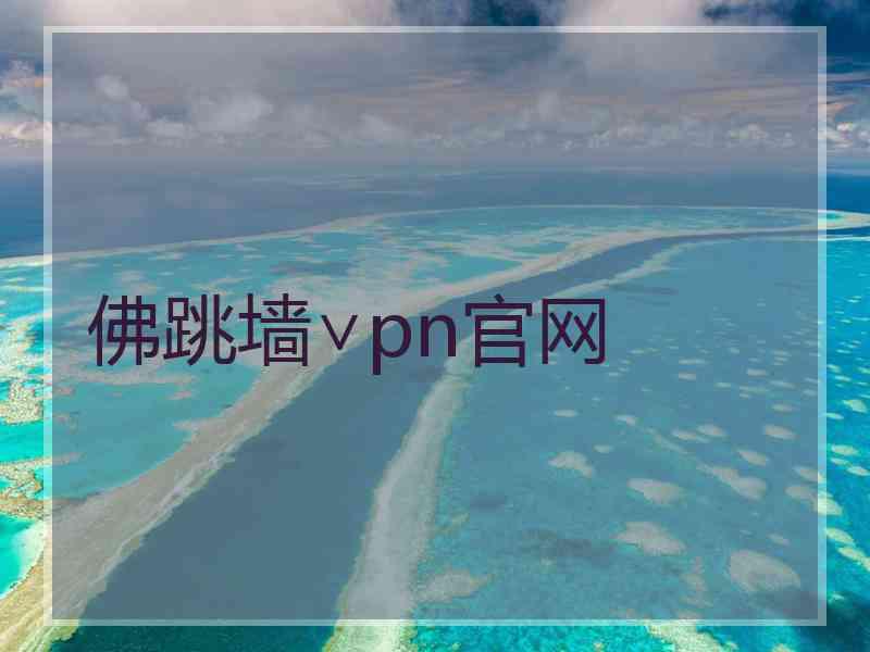 佛跳墙∨pn官网