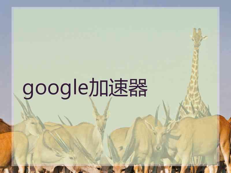 google加速器