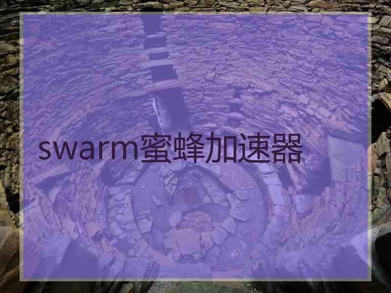 swarm蜜蜂加速器