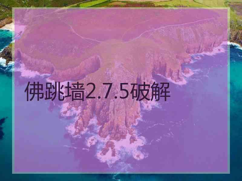 佛跳墙2.7.5破解