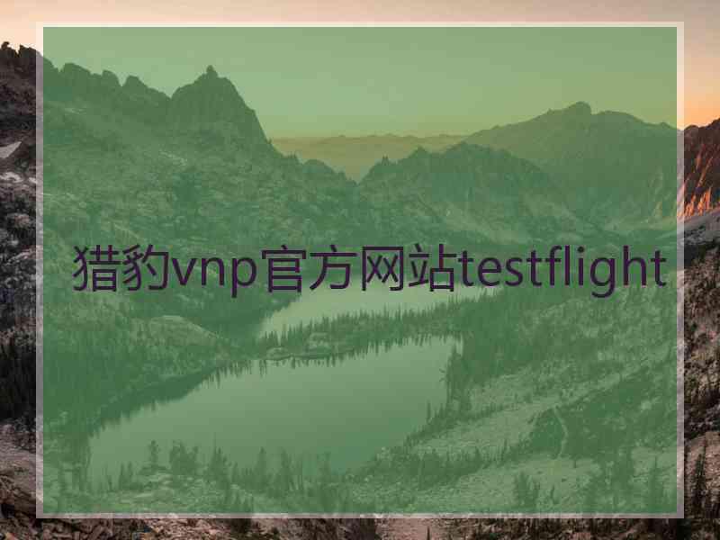 猎豹vnp官方网站testflight