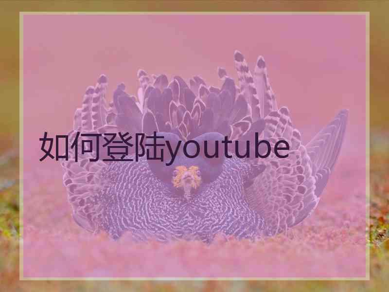 如何登陆youtube