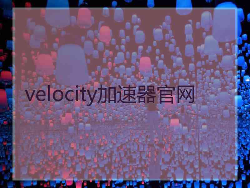 velocity加速器官网