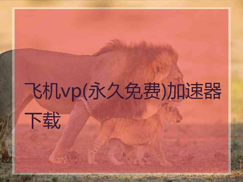 飞机vp(永久免费)加速器下载