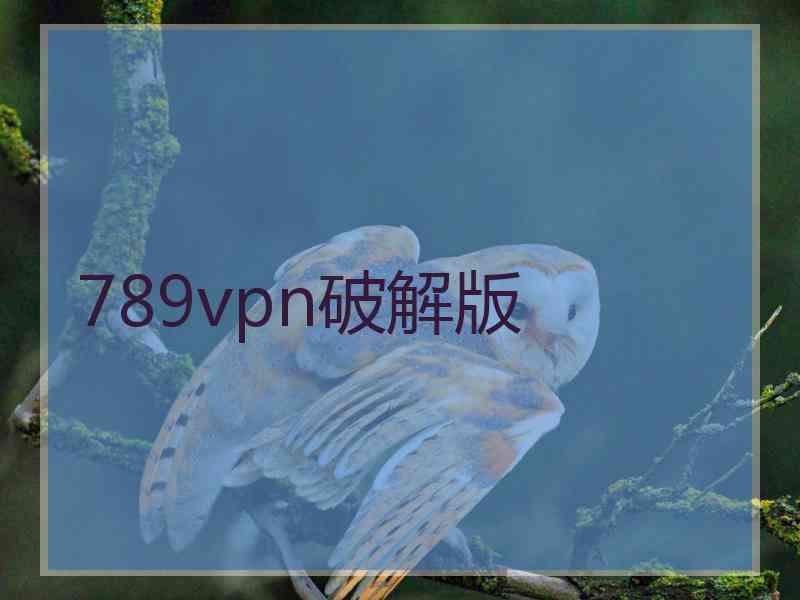 789vpn破解版