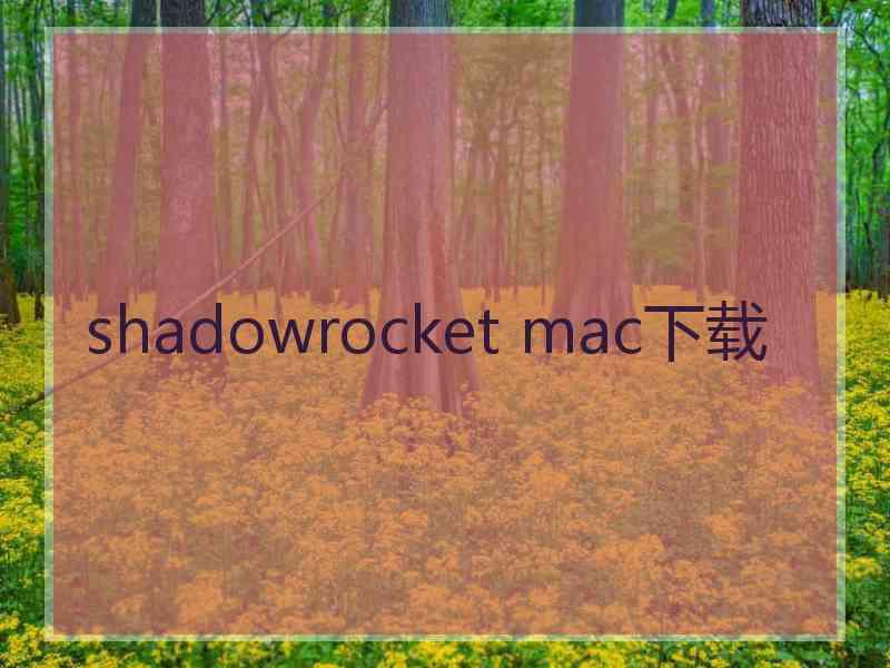 shadowrocket mac下载