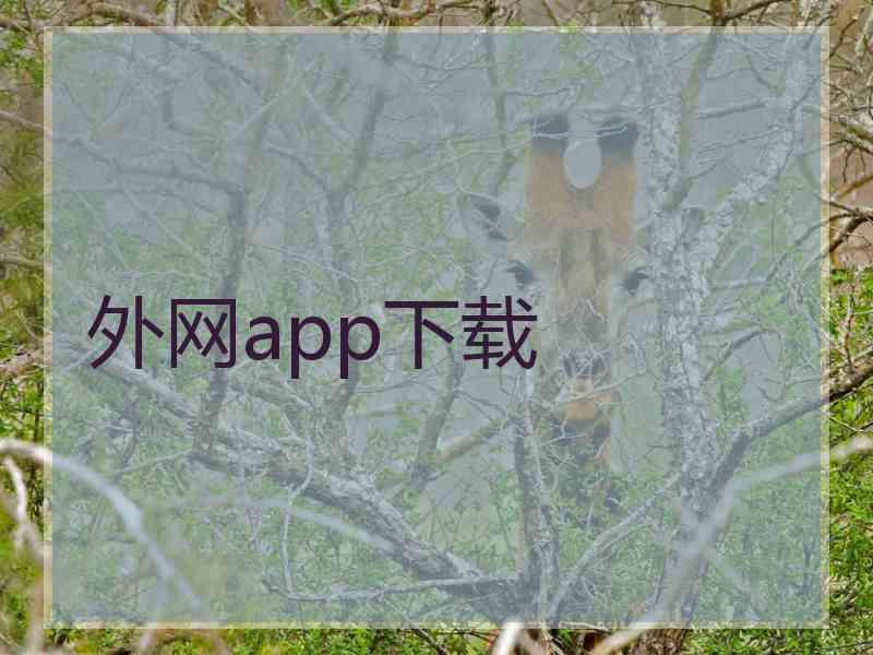 外网app下载