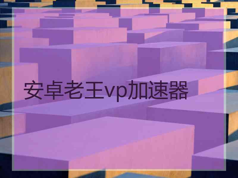 安卓老王vp加速器