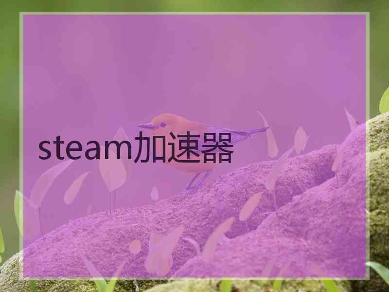 steam加速器