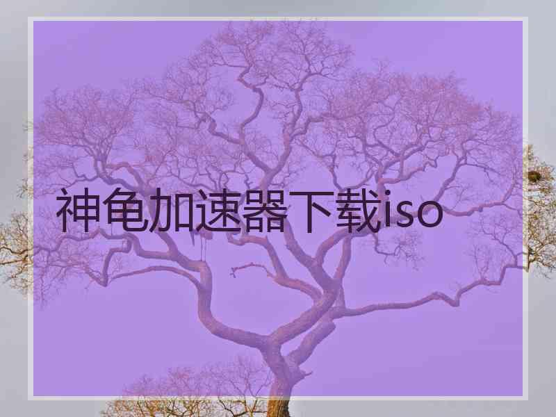 神龟加速器下载iso