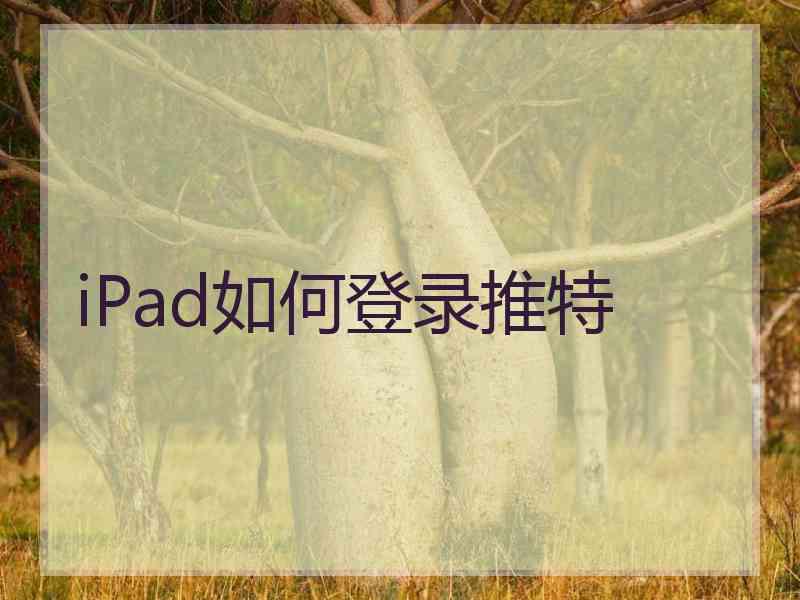 iPad如何登录推特