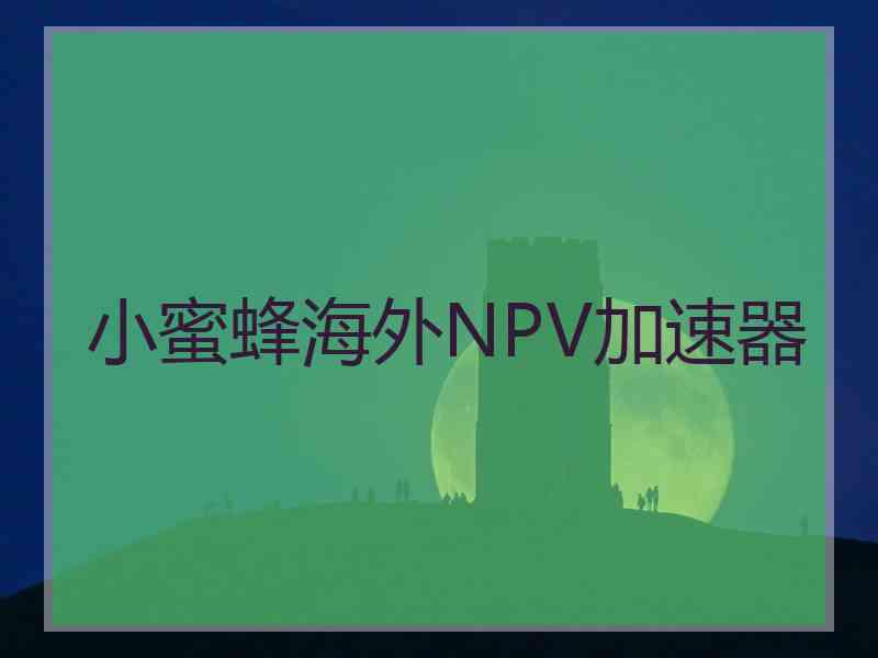 小蜜蜂海外NPV加速器