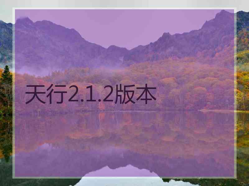 天行2.1.2版本