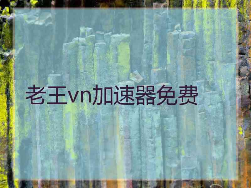 老王vn加速器免费