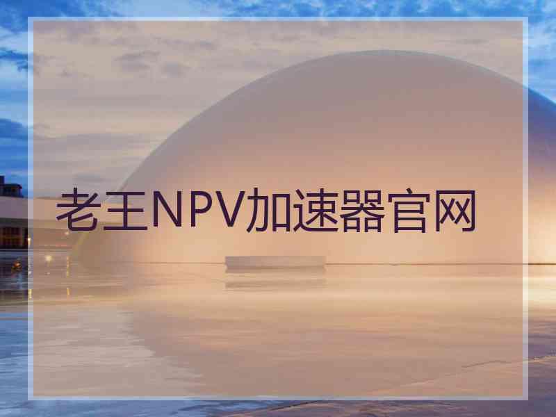 老王NPV加速器官网