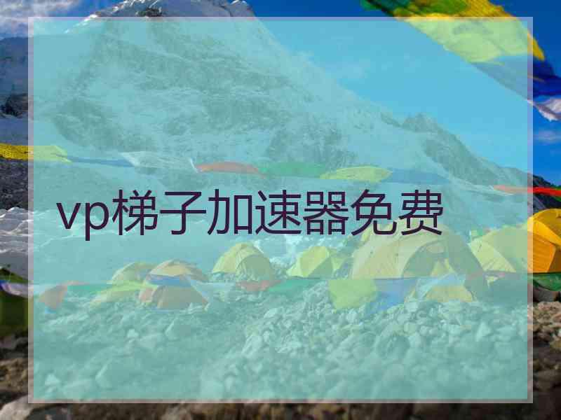 vp梯子加速器免费