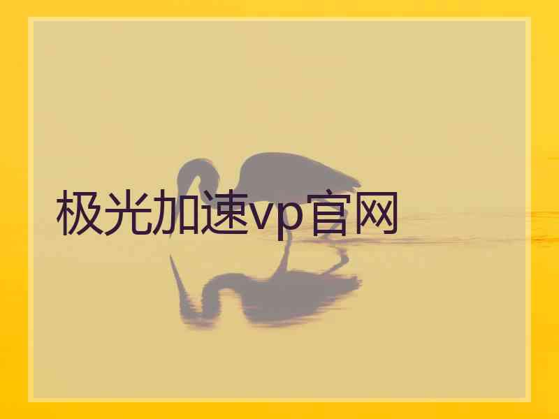 极光加速vp官网