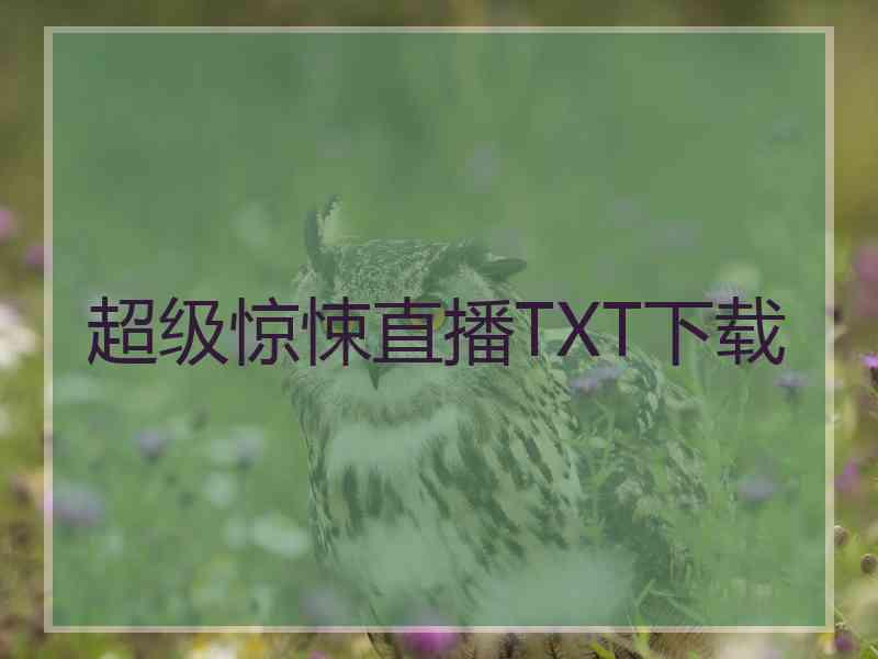 超级惊悚直播TXT下载