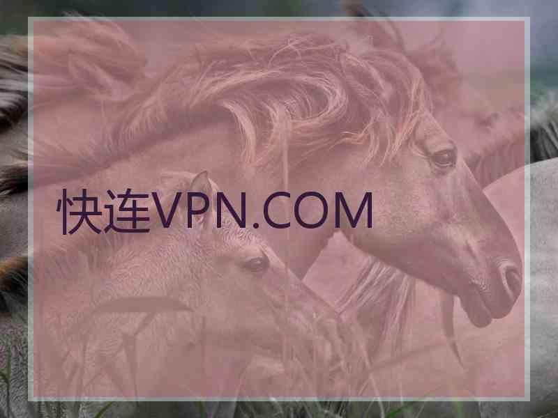 快连VPN.COM