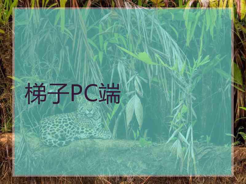 梯子PC端